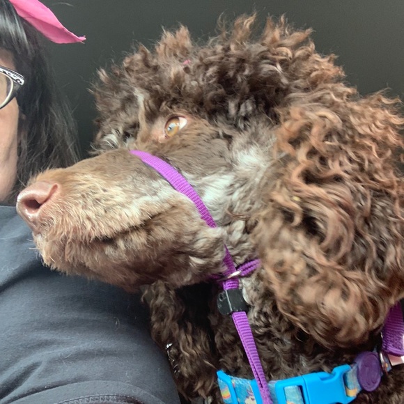 Meet your Posher, Jamie - Picture 5 of 5